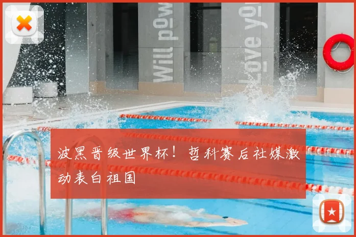 波黑晋级世界杯！哲科赛后社媒激动表白祖国