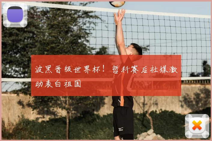 波黑晋级世界杯！哲科赛后社媒激动表白祖国
